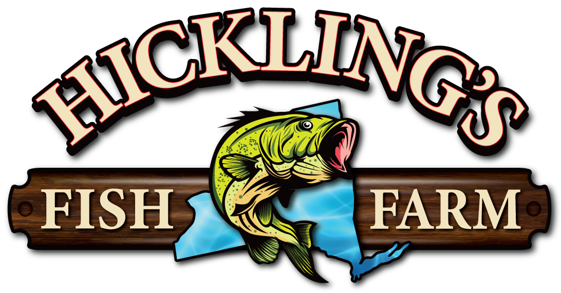 Hickling's Fish Farm